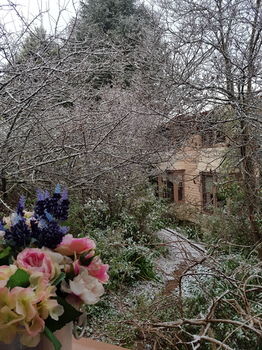 Hotel Avonleigh - Darwin Holiday 56