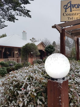 Hotel Avonleigh - Darwin Holiday 58