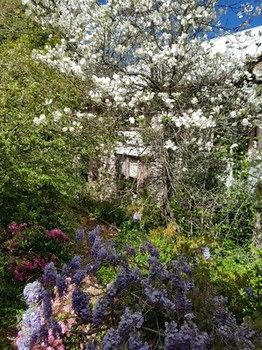 Hotel Avonleigh - Darwin Holiday 62