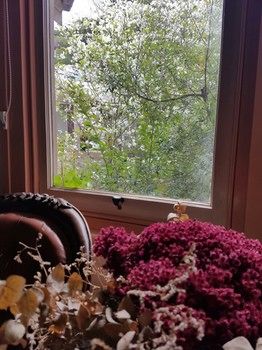 Hotel Avonleigh - Darwin Holiday 64