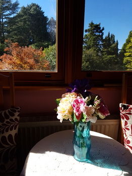 Hotel Avonleigh - Darwin Holiday 66