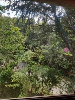 Hotel Avonleigh - Darwin Holiday 70