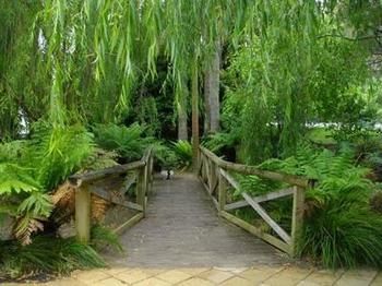 The Falls - Darwin Holiday 11