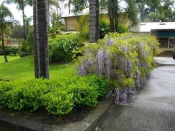 The Falls - Darwin Holiday 12
