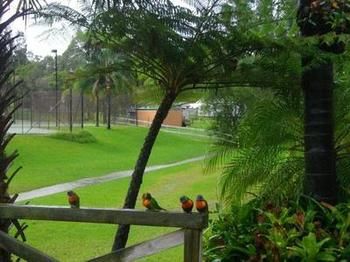 The Falls - Darwin Holiday 17