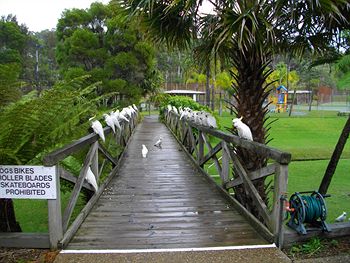 The Falls - Darwin Holiday 7