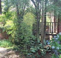 Storey Grange - Darwin Holiday