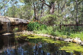 Storey Grange - Darwin Holiday 12