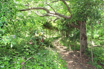 Storey Grange - Darwin Holiday 13