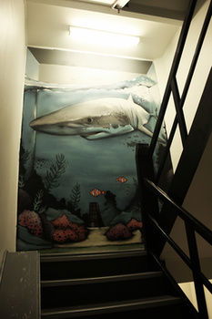 Sydney Backpackers - Hostel - Darwin Holiday 30