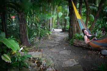 Noosa Valley Manor B&B Retreat - Darwin Holiday 4