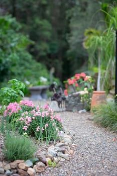 Noosa Valley Manor B&B Retreat - Darwin Holiday 12