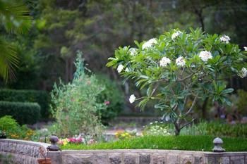 Noosa Valley Manor B&B Retreat - Darwin Holiday 13