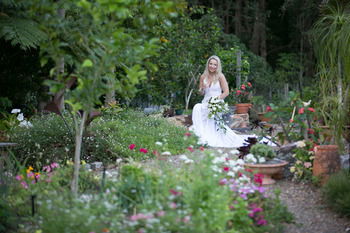 Noosa Valley Manor B&B Retreat - Darwin Holiday 24