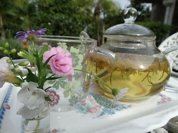 Noosa Valley Manor B&B Retreat - Darwin Holiday 27