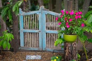 Noosa Valley Manor B&B Retreat - Darwin Holiday 30