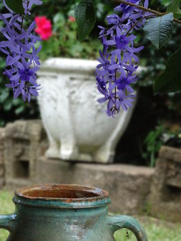 Noosa Valley Manor B&B Retreat - Darwin Holiday 31