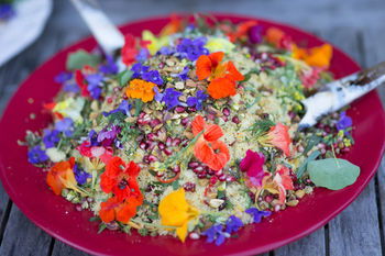 Noosa Valley Manor B&B Retreat - Darwin Holiday 36