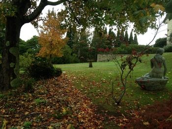 Silvermere - Darwin Holiday 10