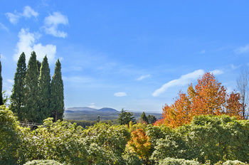 Silvermere - Darwin Holiday 22