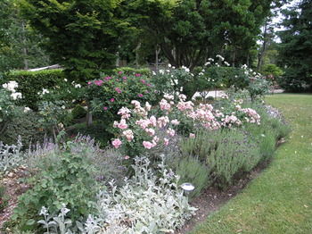 Silvermere - Darwin Holiday 33