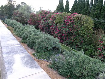 Silvermere - Darwin Holiday 0