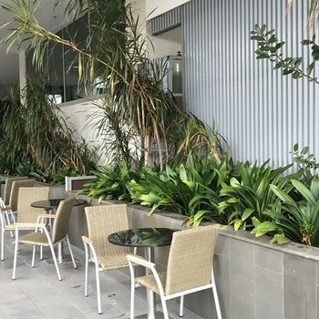 Best Western Premier Hotel 115 Kew - Darwin Holiday 22