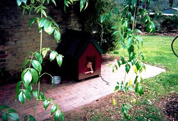 Kurrajong Trails And Cottages - Darwin Holiday 2