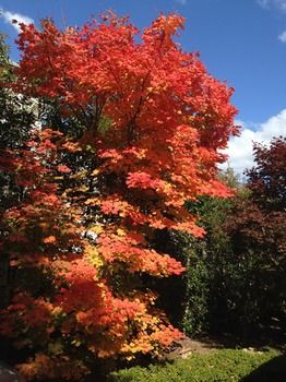 Valley Of The Waters B&B - Darwin Holiday 5