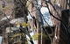 Sydney Harbour Bed & Breakfast - thumb 15