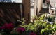 Sydney Harbour Bed & Breakfast - thumb 16