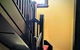 Sydney Harbour Bed & Breakfast - thumb 43