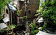 Sydney Harbour Bed & Breakfast - thumb 45
