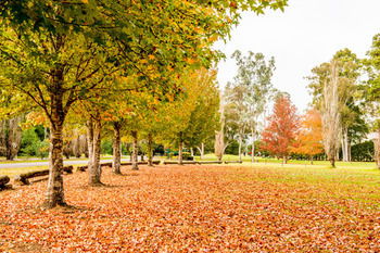 Retreat At Wisemans - Darwin Holiday 12