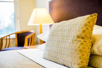 Retreat At Wisemans - Darwin Holiday 13