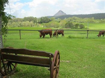 Blackwattle Farm B&B And Farm Stay - Darwin Holiday 1