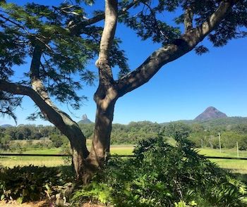 Blackwattle Farm B&B And Farm Stay - Darwin Holiday 9