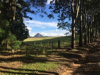 Blackwattle Farm B&B And Farm Stay - Darwin Holiday 12