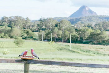 Blackwattle Farm B&B And Farm Stay - Darwin Holiday 42