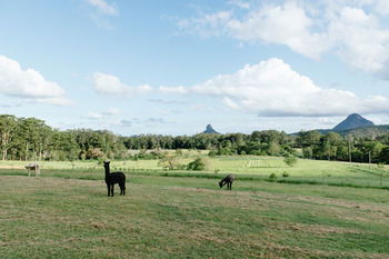 Blackwattle Farm B&B And Farm Stay - Darwin Holiday 43
