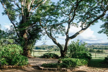 Blackwattle Farm B&B And Farm Stay - Darwin Holiday 45