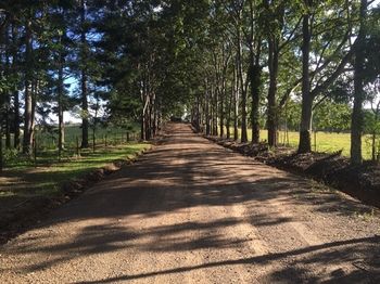 Blackwattle Farm B&B And Farm Stay - Darwin Holiday 46