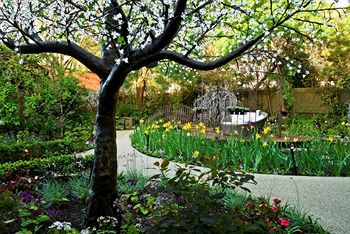 Elizabethan Lodge - Darwin Holiday 1