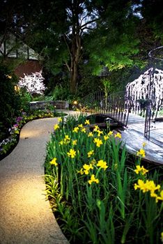 Elizabethan Lodge - Darwin Holiday 2