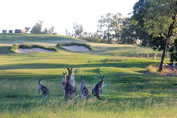 Riverside Oaks Golf Resort - Darwin Holiday 1
