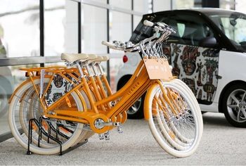 Art Series - The Larwill Studio - Darwin Holiday 0