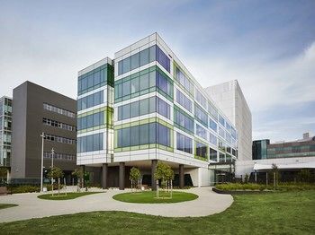 Art Series - The Larwill Studio - Darwin Holiday 5