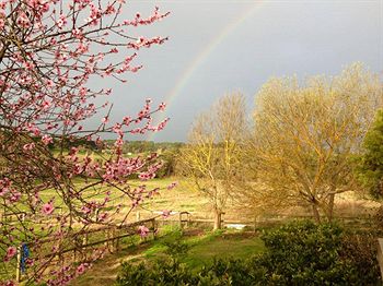 Australian Home Away @ Wonga Park Brushy Creek - Darwin Holiday 9