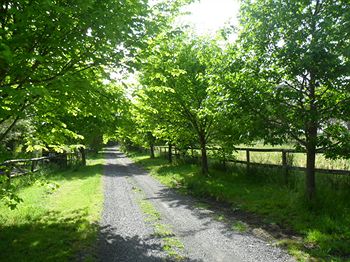 Australian Home Away @ Wonga Park Brushy Creek - Darwin Holiday 10