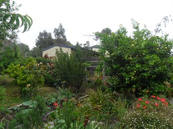 Australian Home Away @ Wonga Park Brushy Creek - Darwin Holiday 14